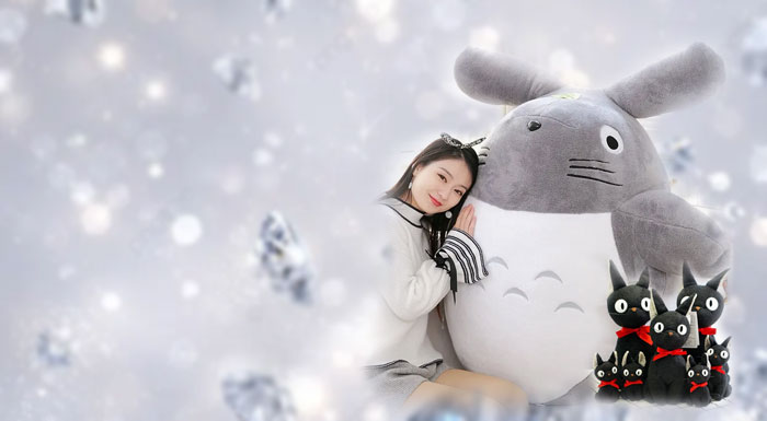 Studio Ghibli Totoro Plush banner